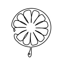Drawing line lemon on the white background. Vector