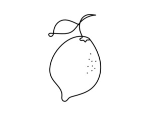 Drawing line lemon on the white background. Vector