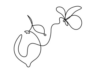 Drawing line lemon on the white background. Vector