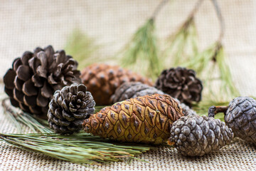 Pinecones with branches on a light brown background, space for text, Christmas decorations.