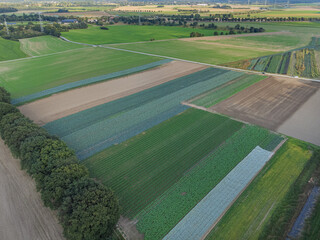 aerial photo of farming fields and trees