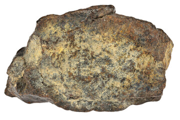 fragment of the NWA 869 meteorite isolated on white background