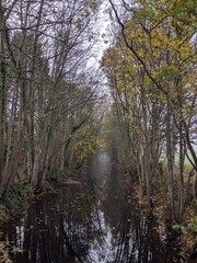 Scotland Autumn