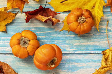 Autumn still life . Fallen maple leaves and orange pumpkins on a wooden blue background. Autumn harvest