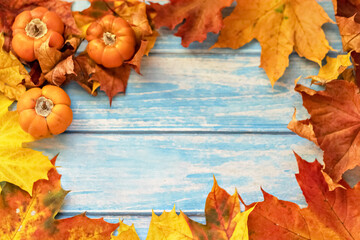 Autumn still life . Fallen maple leaves and orange pumpkins on a wooden blue background. Autumn harvest