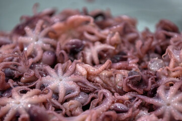 Small canned octopuses, close-up photo, shallow depth of field.