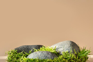 Composition of stone and moss on pastel background. Abstract podium for organic cosmetic products....