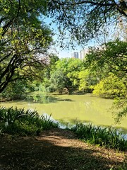 Jardim botânico Curitiba 