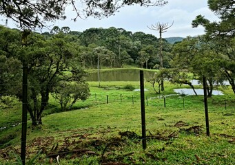 serra gaucha