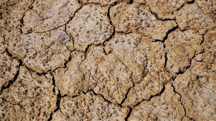 Tierra seca agrietada
