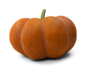 Autumn orange pumpkin. autumn orange pumpkin  for web design isolated on white background.