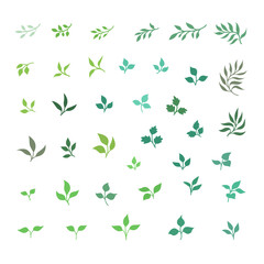 Vector green leaf and twig