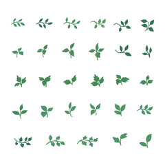Vector green leaf and twig