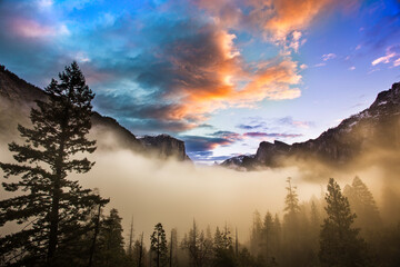 Yosemite National Park