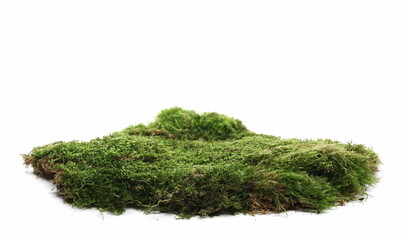 Green moss isolated on white background and texture