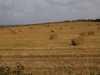 hay bales