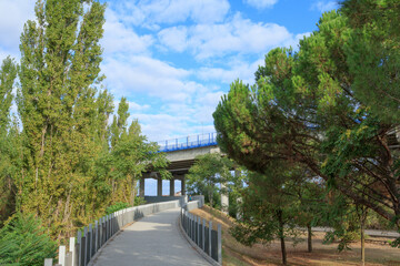long walkway with trees and sky with clouds and glades and a person in the background