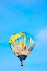 Colorful Hotair Balloon in Flight