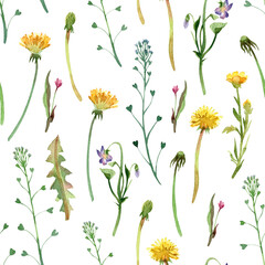 Watercolor seamless pattern of flowers isolated on white background - 461915217
