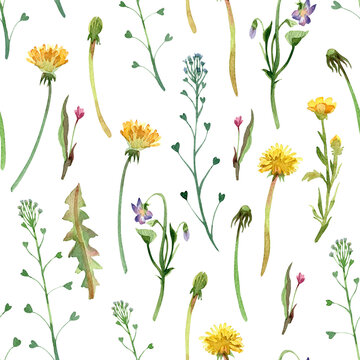 Watercolor seamless pattern of flowers isolated on white background