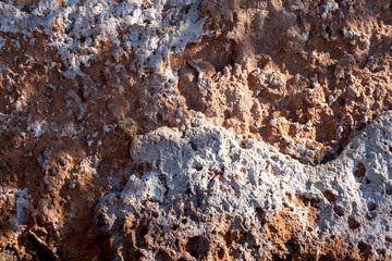 rock texture background, close up