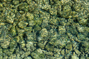 rock texture background, close up
