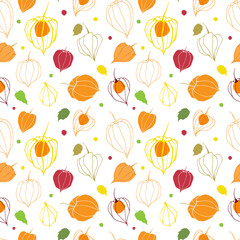 Seamless pattern with physalis on a white background. Illustration for restaurant menu, cosmetics, health care products, wrapping paper, post cards, prints for clothes.Vector illustration.
