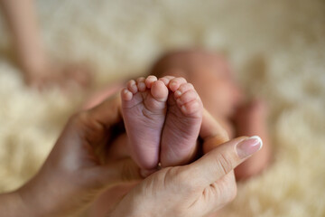 hands hold the legs of the newborn