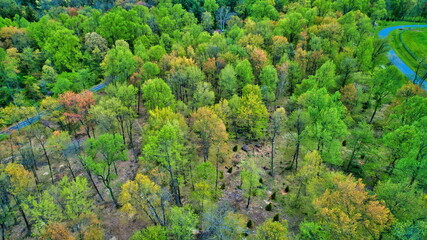 An Aerial View of Beautifully Blooming Colored Trees and Plants and Unique Structures on a Spring Day