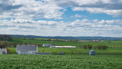 View of Farm Countryside With Blue Sky and White Clouds on a Spring Day