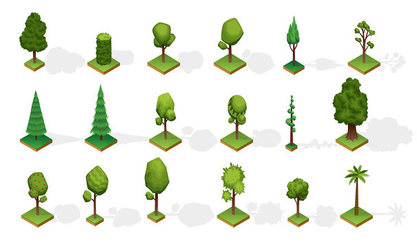Collection isometric trees with shadow. Various type wood isolated on white background. Green plants elements for isometric landscape public park or garden.  icons for infographics or game
