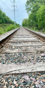 railroad tracks in the forest