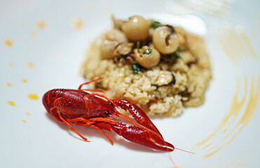 Seafood risotto and Louisiana crayfish.