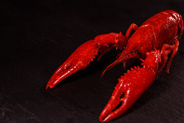 Boiled Louisiana crayfish on a black table.