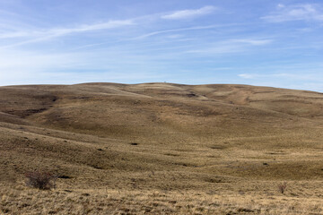 Fototapeta na wymiar Barely visible distant lone tree on the summit of the endless wavy highlands covered by dry grass