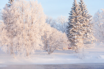 Winter landscape, frost covered trees and mist over freezing river water.