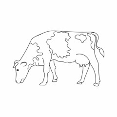 Drawing, engraving, ink, line art, linear, vector illustration cute cow milk farm concept sketch in silhouette on a white background.
