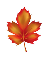 Autumn leave. Symbol with watercolor texture,  illustration. Isolated design element tree leaf. Leave for seasonal greeting card design