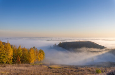 Autumn landscape with early morning fog. Birch trees with bright yellow foliage illuminated by the sun. Trees and hills in the fog. Dawn on a cold autumn morning.