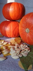 Beautiful ripe pumpkins on the table. Autumn composition on the table. Orange pumpkins, pumpkin seeds, dry autumn leaves.