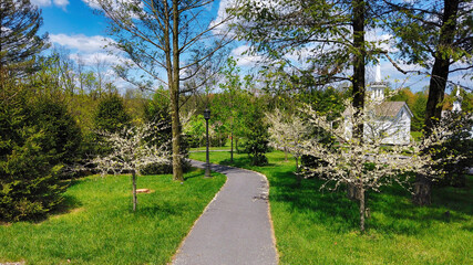 View of Beautifully Blooming Trees and Plants and Unique Structures on a Spring Day