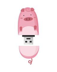USB flash drive icon. Cartoon symbol of pig. Colored memory stick isolated on white background in flat style