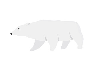 North pole arctic fauna. Polar bear  illustration in flat style. Arctic animal icon. Winter zoo design element
