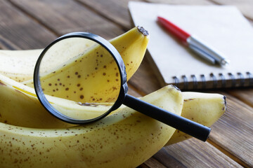 Magnifier, bunch of bananas, pen and notepad on planks. Examination of the quality and study of the...