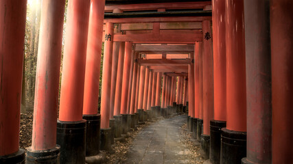 Beautiful landscape sunlight with red tori gates at Fushimi Inari Taisha shrine