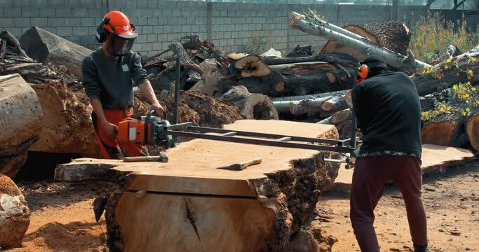 Lumberjack cutting tree trunk with giant chainsaw to make wooden planks