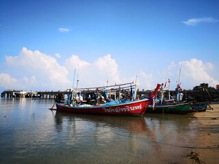 boats in the harbor