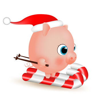 little pig goes skiing in a Santa Claus hat