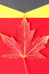 maple leaf on a red background