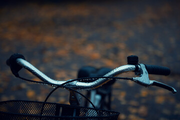 Close up of bicycle handlebar after the rain in the autumn park